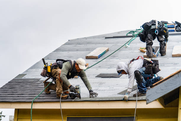 Professional Roofing technician working in Hospers, IA